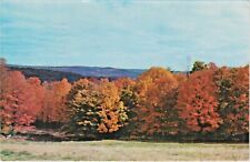 Plan to see Vermont's Fall Foliage between September 25th to October 15th picture