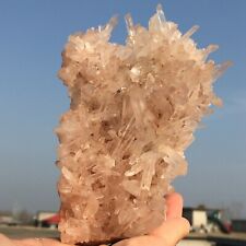 765g Natural Beautiful Pink Quartz Crystal Cluster Point Mineral Specimen picture