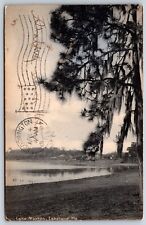 Postcard Lake Morton, Lakeland Florida Posted 1907 picture