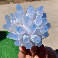 308G New Find sky Blue Phantom Quartz Crystal Cluster Mineral Samples picture