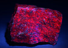 Ruby in Kyanite, fluorescent red. Mysore, India. 325 grams. picture