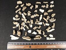 BIG Lot of 100% Natural FULGURITE's or Petrified Lightning Algeria 29.6gr picture