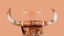 Jefe's Large W/ Hoof “Doble C/Pesuña” - Custom Polished Steer Horn Mounted Decor picture