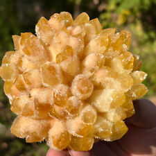 1.22LB Newly Discovered Yellow Phantom Quartz Crystal Cluster Mineral Sample picture