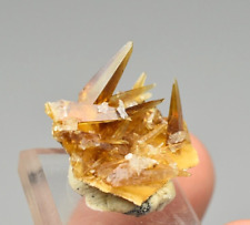 Barite with Calcite with Selenite - Elk Creek, Meade Co., South Dakota picture
