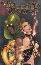 Hooded Cobra: The Den Of Serpents #4 FN; Spiral Ink | we combine shipping picture