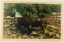 Vintage Garden City Kansas KS Buffalo in Finnup Park Linen Postcard 1545 picture
