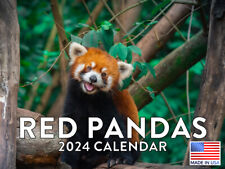 Red Panda 2024 Wall Calendar picture