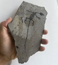 Unique Real AMPHIBIAN-VERTEBRA-NOTHOSAURIA-JURASSIC Dragon Dinosaur Fossil picture