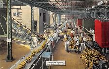 New Orleans Louisiana UNLODING BANANAS 1941 Postcard picture