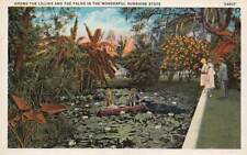 Florida FL 1920 Beauty Postcard Tavares Palatka Ft Walton Stuart Palm Bay Eustis picture