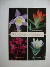 Railfans2 972) Postcard, Colorado Flower, Columbine, Indian Paintbrush, Fireweed picture