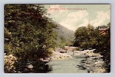 Catskill Mountains NY- New York, Kaaterskill Creek, Vintage c1913 Postcard picture