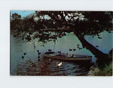 Postcard Nature Lake Scene picture