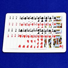 52 on 1, Red Bicycle Gaff Playing Card, Custom Printed picture