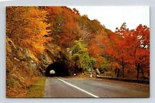 Shenandoah National Park Blue Ridge Mountains VA Rock Tunnel Chrome Postcard picture