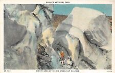 J25/ Rainier National Park Washington Postcard c1910 Giant Cakes Nisqually   21 picture