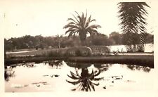Vintage Postcard Real Photo Scene on Lily Pond Scenic View Orlando Florida RPPC picture