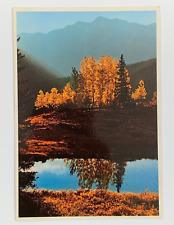 Autumn Hues Color the Rockies Colorado Postcard Unposted picture