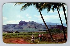 Kauai HI-Hawaii, Sleeping Giant Mountain Kapaa, Antique, Vintage Postcard picture