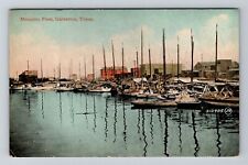 Galveston TX-Texas, Mosquito Fleet Vintage Souvenir Postcard picture