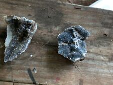 petrified wood pieces that has pretty blue crystals on the inside  picture