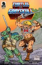 Pre-Order Masters of the Universe/Teenage Mutant Ninja Turtles: Turtles of Grays picture