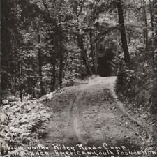 1931 RRPC Ridge Road Camp Miniwanca American Foundation Shelby Michigan Postcard picture