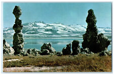 c1950's Tufa Formations in the Foreground Mono Craters Lee Vining CA Postcard picture