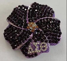 DST, Delta Sigma Theta , African Violet Rhinestones Brooch, Silver, Pouch picture