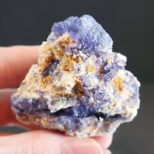 Blue-Purple Fluorite from Sweet Home Mine - Rare Colorado Mineral Specimen picture