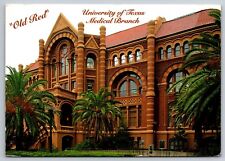 Postcard - OLD RED, The Ashbel Smith building 2002 picture