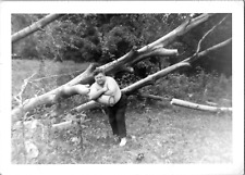 Beefcake Fat Shirtless Strong Man Knocked Tree Down 1940s Vintage Photo Gay Int picture