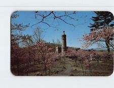 Postcard Summit Of Little Round Top And The 44th New York Infantry Monument, PA picture