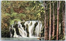 Postcard - Nature Scenery  - Falls, Tree picture