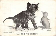 C.1911 A/S V Colby I AM FOR PROHIBITION Cat Kitten Baby Duck Comic Postcard 824 picture