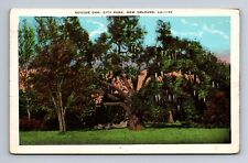 Suicide Oak City Park New Orleans LA Postcard c1932 picture
