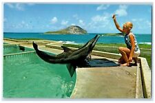 c1960 Breath-Taking Sea Life Park Makapuu Point Oahu Hawaii HI Vintage Postcard picture