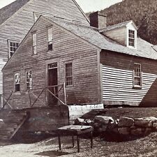 Antique 1870s The Willey House Crawford Notch NH Stereoview Photo Card V1963 picture
