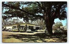 1950s ALBANY GA MERRY ACRES RESTAURANT HWY 82 OLD CARS UNPOSTED POSTCARD P3864 picture