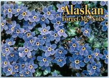 Postcard - Alaskan Forget-Me-Nots picture