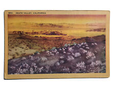 1940 Death Valley California Postcard picture