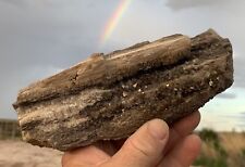 ☘️RR⛏️: Arizona Petrified Wood W/dark Smoky Quartz Crystals, NE AZ. 1.5 Lb picture