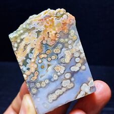 TOP 107G Natural Orbicular  Ocean Jasper  Crystal  Stone Healing L1980 picture