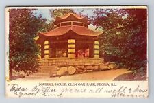 Peoria, IL-Illinois, Squirrel House Glen Oak Antique c1907, Vintage Postcard picture