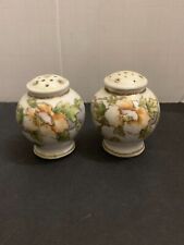 Antique c.1920's Hand Painted Porcelain Salt and Pepper Shakers Floral picture
