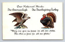 1906 National Birds Bald Eagle Thanksgiving Turkey Patriotic Humor Postcard picture