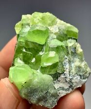 228 Carat beautiful terminated peridot crystal bunch specimen from Pakistan picture