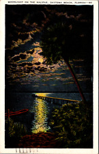 Daytona Beach Florida Vintage Moonlight on the Halifax c. 1940's Postcard picture
