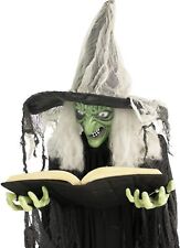Haunted Hill Farm Life-Size Talking Witch Holding Spell Book, Halloween picture
